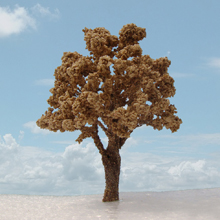 model trees
